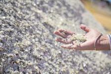 Status quo on critical minerals, but race won't ease for India