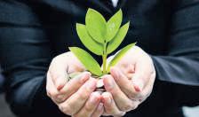 Can an unmarried woman give her wealth to a charitable trust?