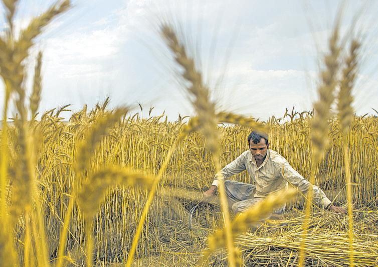 Tech troubles derail mandi operations