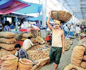 Rajasthan limits e-NAM 2.0 pilot amid snags; 1.0 to stay