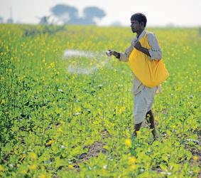 Floods, low crop prices leave Indian farmers under stress