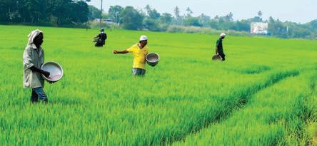 Syngenta India unveils roadmap to boost sustainable farming