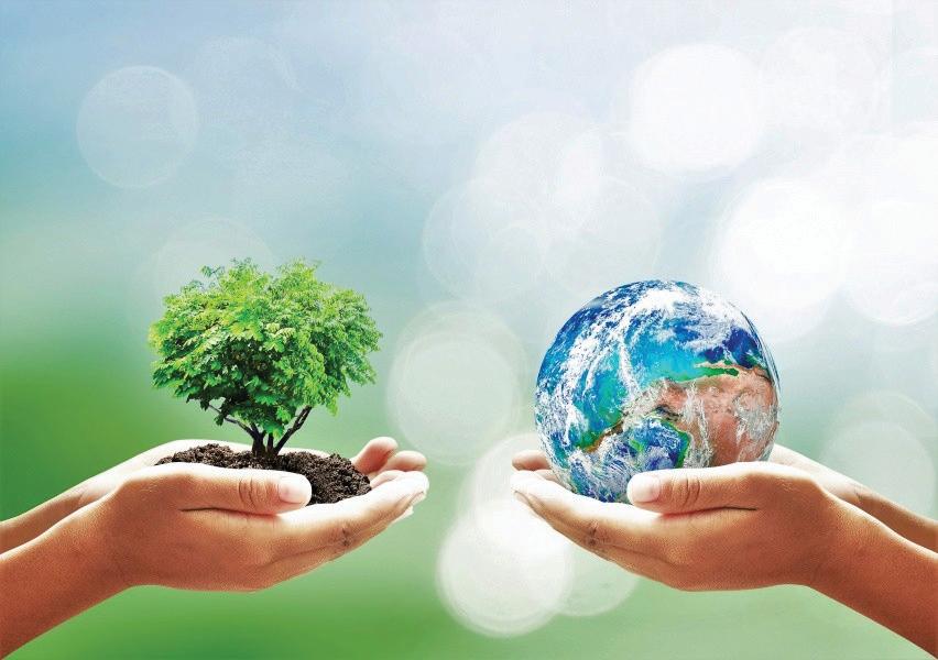 Harmony with Nature and Sustainable Development