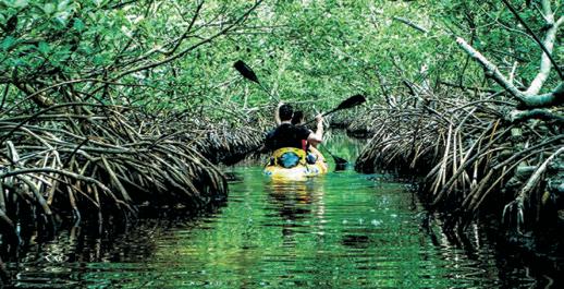 Must-visits in Andaman and Nicobar