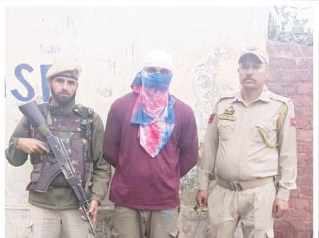 Drug peddler arrested in Baramulla