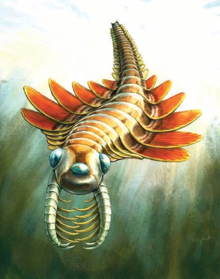 Bizarre three-eyed predator hunted the ocean half a billion years ago