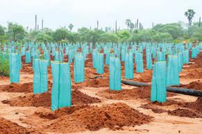 Yogi Govt to form 'Green Chaupals' in villages across UP
