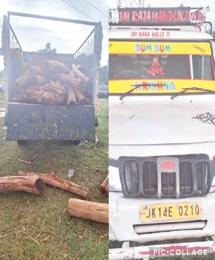 Police foils bid to smuggle illegal Khair wood in Gharota