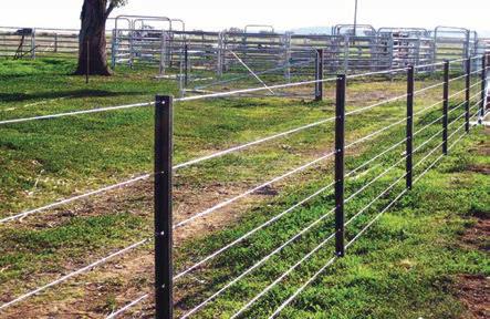Yogi govt installs 272 km of fencing in 2 years to curb human-wildlife conflicts