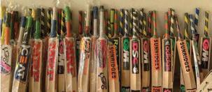 NIT concludes TIFAC-supported study to modernize Kmr’s Cricket bat industry