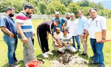 MLA Bani leads plantation drive on World Environment Day