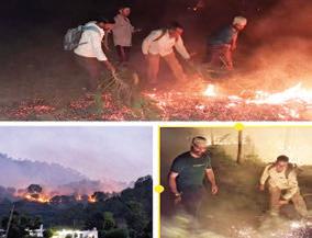 NGO ACC assists Forest Dept to control forest fire in Sunderbani
