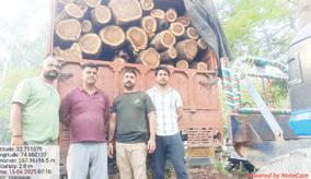 Forest Dept seizes vehicles carrying illegal timber in Bhalwal