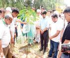 Plantation drive held near BSF camp Paloura
