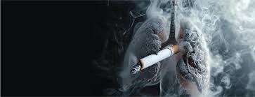 Tobacco's Silent Damage: How It Destroys Health and Homes