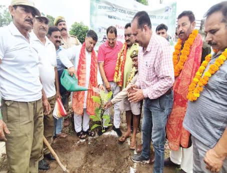 Surinder participates in plantation drive at Babe Talab Dev Sthan