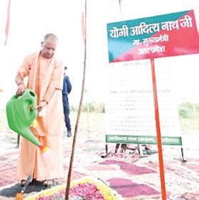We planted 204 crore saplings, reforested 5 lakh acres in eight years: Yogi Adityanath