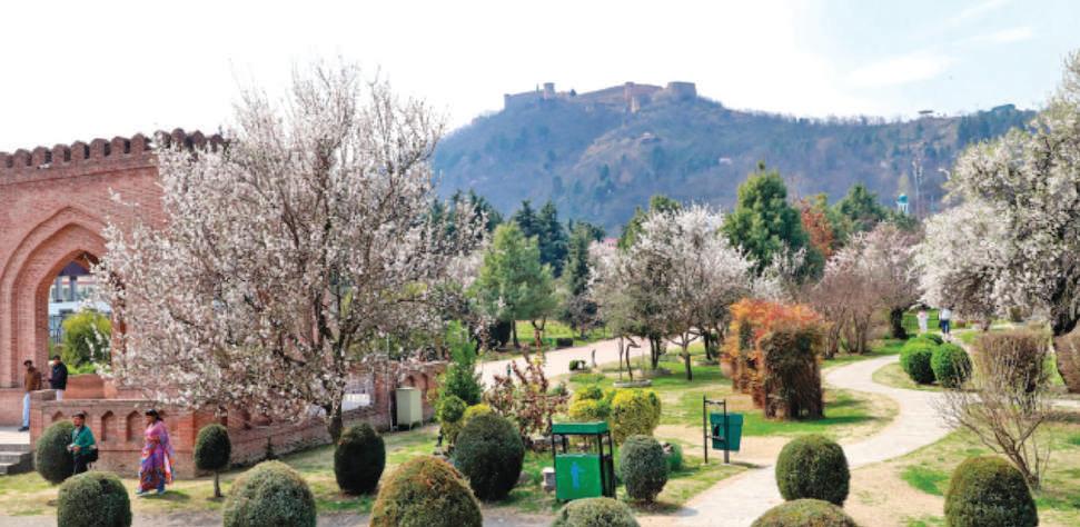Badamwari — Where Forgotten Smiles Meet Bitter Realities