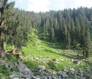 3 decades on, Hirapora Wildlife Sanctuary awaits final notification