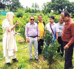 Dir Horticulture launches fruit plantation drive