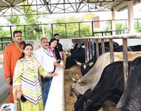Movement Kalki demands urgent action on poor cow shelter conditions