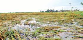 Incessant rains trigger chaos across Jammu Region