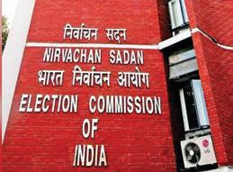 EC finalises Electoral College for Vice Prez poll