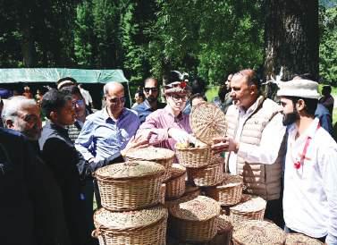 Expansion of tourism to boost employment for Gurez Youth: CM Omar