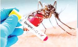 J&K reports around 2,200 dengue cases so far this year