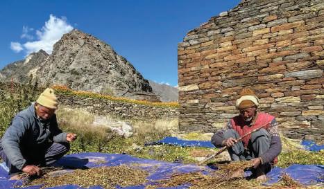 124 Border Villages being developed under Vibrant Villages Programme-II