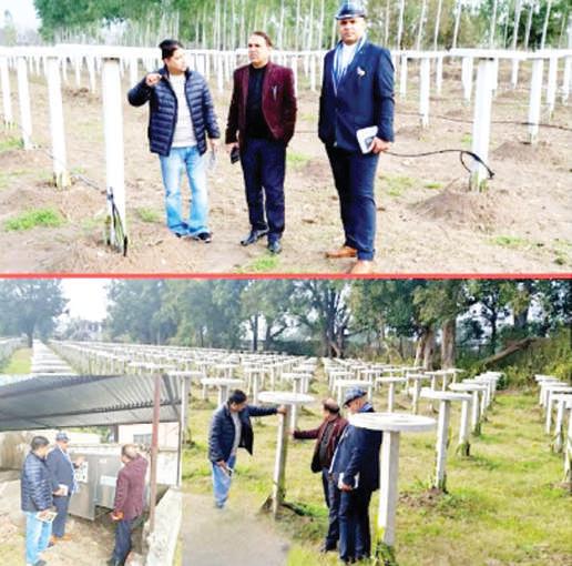 DHJ inspects horticulture development activities