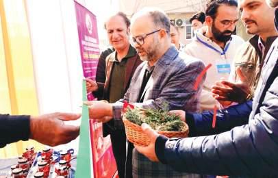 Director Agriculture inaugurates awareness programme for GI-Tagged Saffron