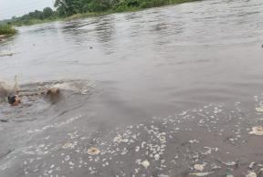 Basundhara River Turns Toxic from Industrial Waste, Locals Blame NTPC