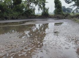Ash Blanket from NH-49 Bypass Construction Devastates Farmlands in Jharsuguda