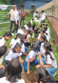 Van Mahotsav Celebrated at Kalibari by Students and Social Organisations