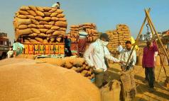 Odisha to set up Model Mandis to provide seamless platforms to farmers & traders