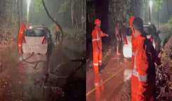 5 using navigation app get stranded in Kerala forest