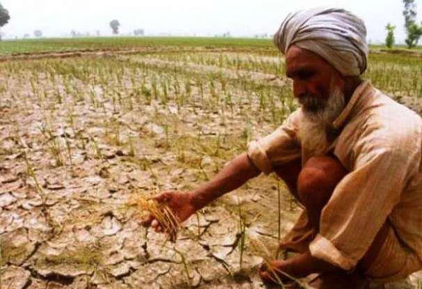 Agromet workers battle against climate chaos