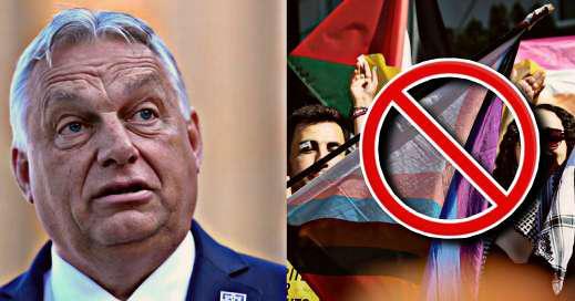 Hungary erupts over vote on LGBTQ+ rights