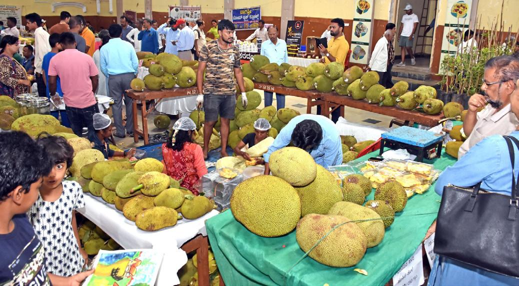 Jackfruit festival begins in Mysuru