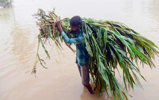 Damaged dam gate gives ryots jitters