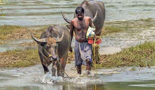 Flood woes ease in Assam as rivers flow below danger mark