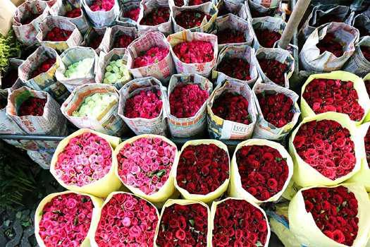 India's export rose 2.8% in May