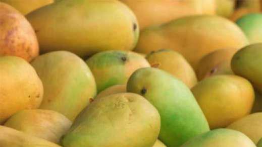 Worried about falling prices, mango trader dies of heart attack