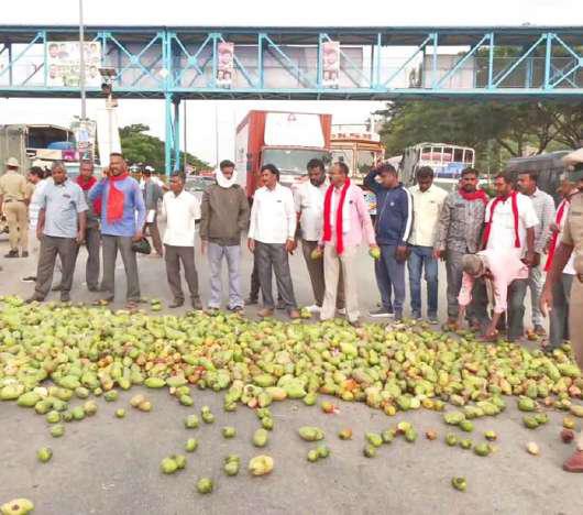 Protesting farmers dump mangoes on Bengaluru-Chennai Highway