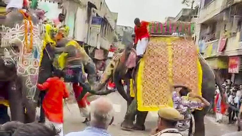 Vantara cares for Rath Yatra's 'mad' elephants