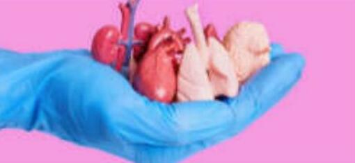 100 दिन के उपक्रम की शुरुआत अंगदान से