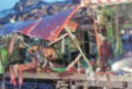 दोषी नावेद ने कहा- निर्दोष लोग मारे गए लेकिन निर्दोष को फांसी नहीं होनी चाहिए