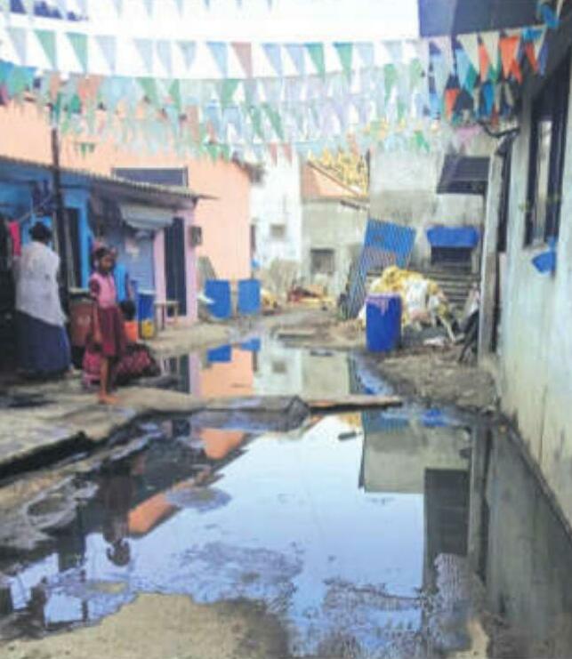 मच्छरों से परेशान हैं वसई-विरार के लोग