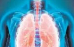 टीबी बीमारी के उन्मूलन के लिए ली जा रही आयुर्वेदिक और होम्योपैथी डॉक्टरों की मदद